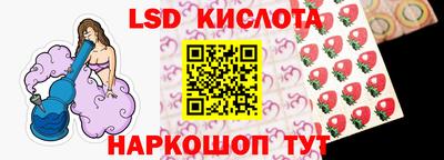 стафф Камышлов