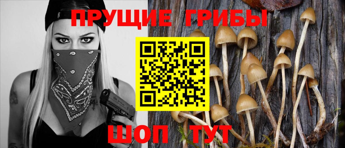 Галлюциногенные грибы ЛСД Кыштым