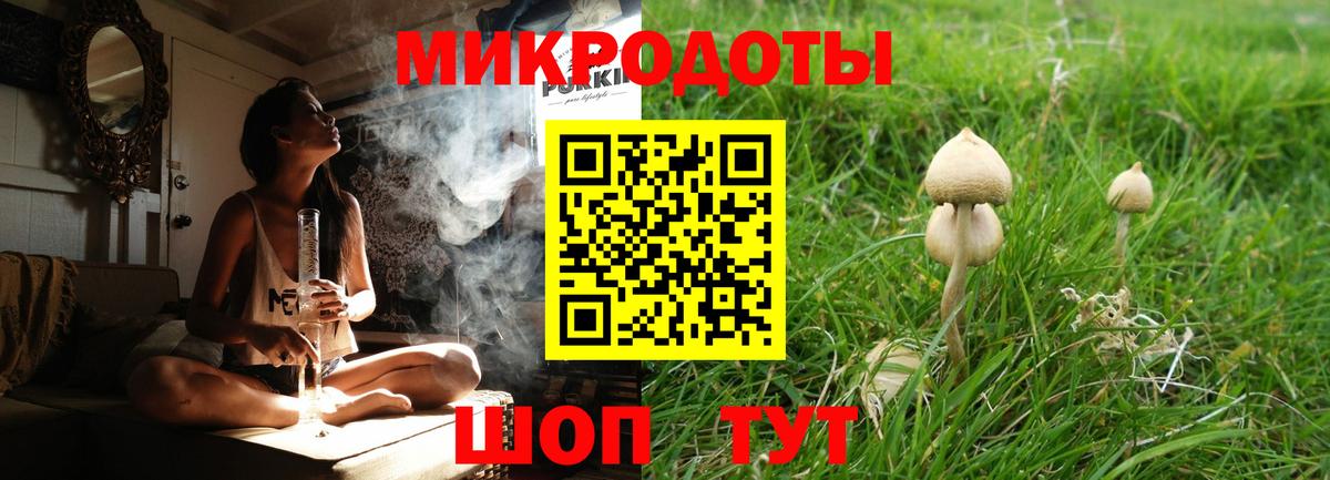 цены наркотик  Галлюциногенные грибы Psilocybe  Вход с VPN  Галлюциногенные грибы ЛСД  Кыштым 